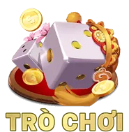 Hỗ trợ ppg66 chuyên nghiệp